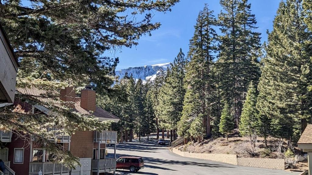 Cozy Condo Walking Distance To Village And Gondola W/ Pool/ Jacuzzi Sleeps 4. Mammoth Lakes Extérieur photo